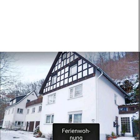 4 Erw. 1 Ki. Ski Entspannung Terasse Ausblick Schmallenberg Exterior photo